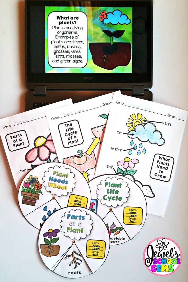 How to Teach Plants for Kids by Jewel Pastor of Jewel's School Gems | Read about different ways and grab freebies!
