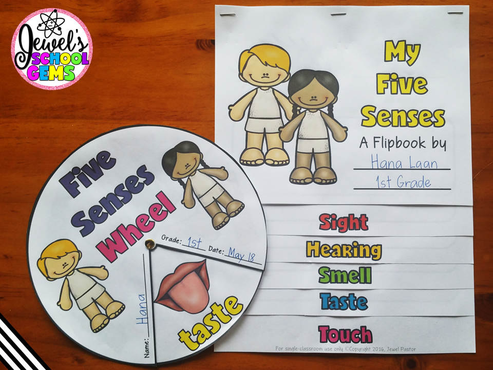 Five Senses | How to Teach the Five Senses by Jewel Pastor of www.jewelschoolgems.com | Looking for ideas, activities and resources on teaching the five senses? Click through to read various ways you can make learning fun and grab a FREE game!