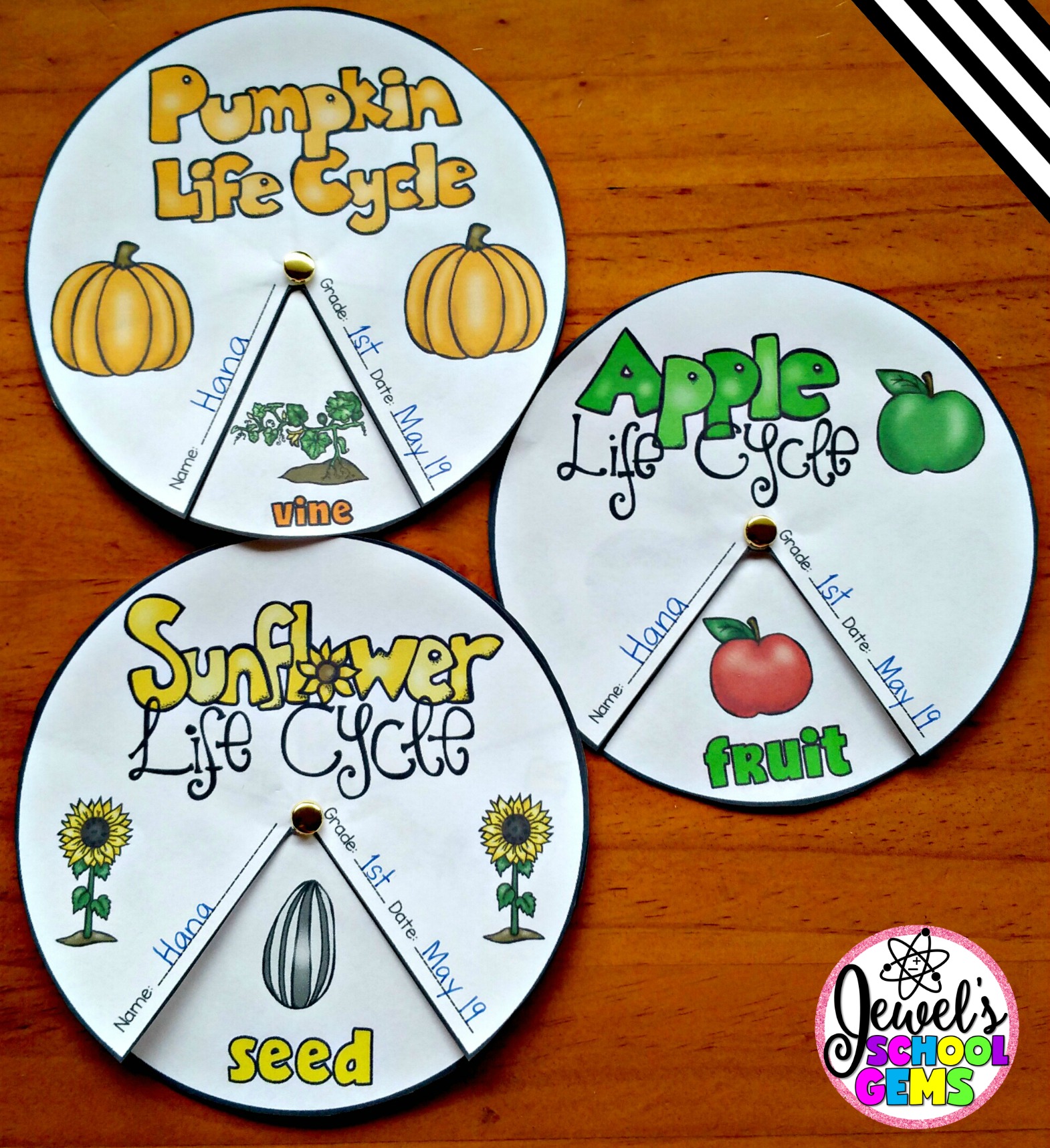 4 FUN FALL SCIENCE RESOURCES FOR PRIMARY by Jewel Pastor of Jewel's School Gems | Do you need fun yet practical fall science resources? Read about four fun fall science resources and download a FREE Pumpkin PowerPoint sampler!