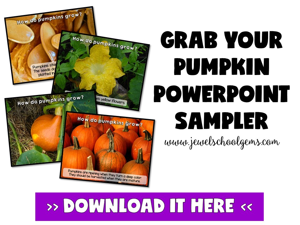 4 FUN FALL SCIENCE RESOURCES FOR PRIMARY by Jewel Pastor of Jewel's School Gems | Do you need fun yet practical fall science resources? Read about four fun fall science resources and download a FREE Pumpkin PowerPoint sampler!