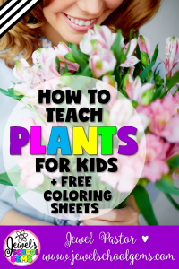 HOW TO TEACH PLANTS FOR KIDS BY JEWEL PASTOR OF JEWELSCHOOLGEMS.COM | Here are some tips and resources on how to teach plants for kids. Read all about them PLUS download freebies when you become a subscriber.