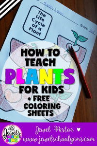 HOW TO TEACH PLANTS FOR KIDS BY JEWEL PASTOR OF JEWELSCHOOLGEMS.COM | Here are some tips and resources on how to teach plants for kids. Read all about them PLUS download freebies when you become a subscriber.