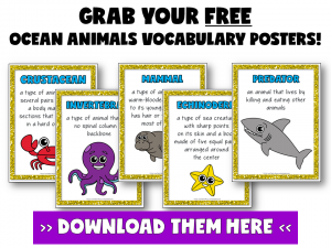 OCEAN ANIMALS FOR KIDS BY JEWEL PASTOR OF JEWELSCHOOLGEMS.COM | Looking for ways to teach ocean animals for kids? Read about different ways and resources you can use in this article plus grab FREE vocabulary posters.