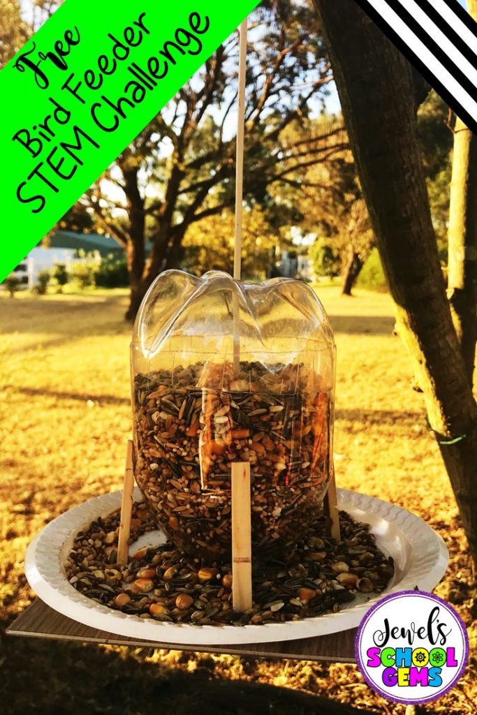 Bird Feeder STEM Challenge FREE