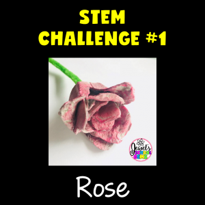 Rose Valentine's Day STEM Activities