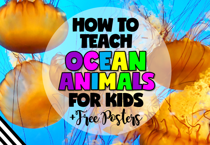 Looking for ways to teach ocean animals for kids? Read about different ways and resources you can use in this article plus grab FREE vocabulary posters.