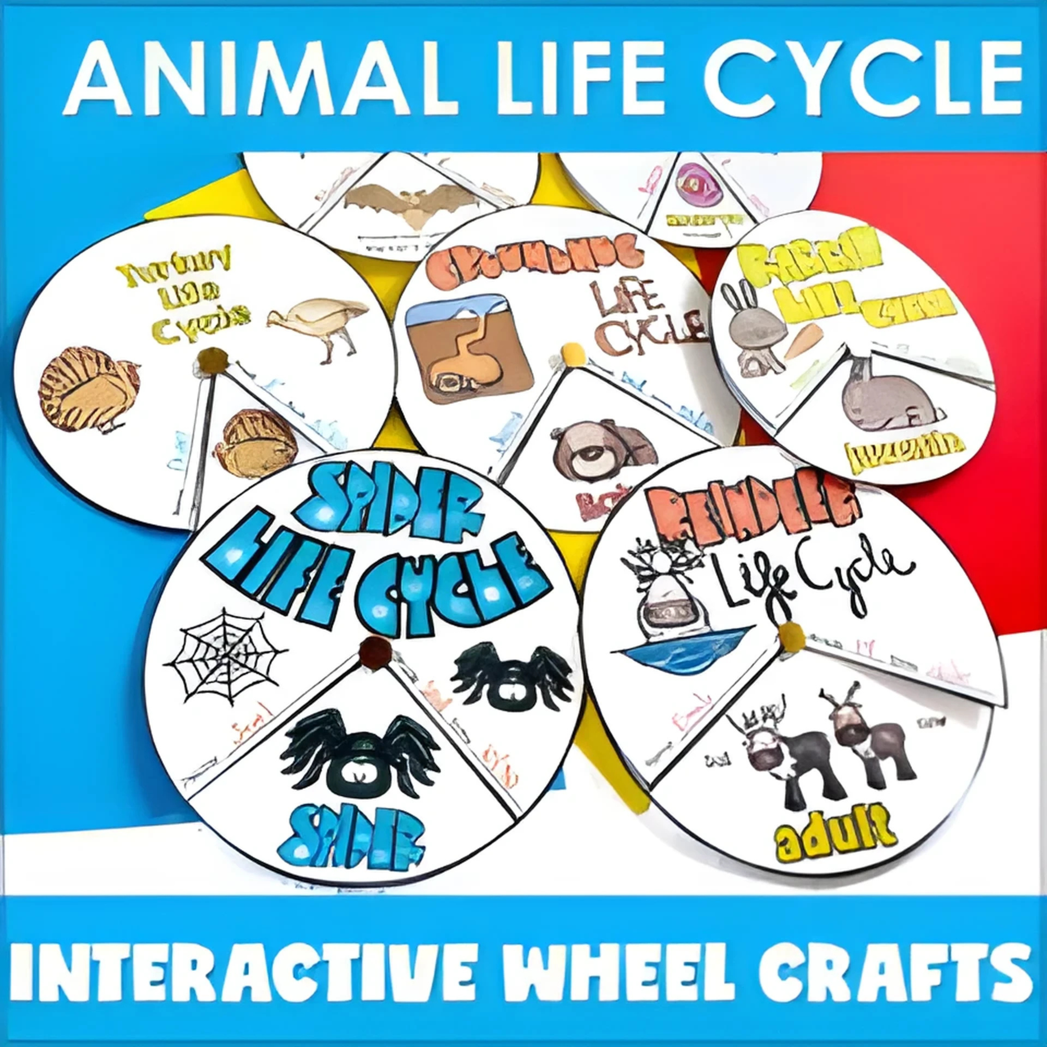 Teaching Animal Life Cycles with Interactive Wheel Crafts